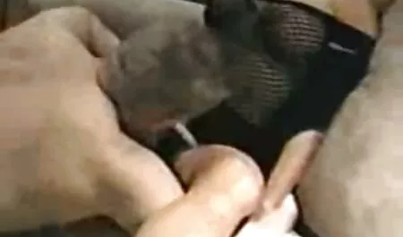 Procace Tera succhia e scopa anziane porno